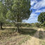 A VENDRE &#8211; THUIR &#8211; TERRAIN AGRICOLE