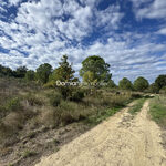 A VENDRE &#8211; THUIR &#8211; TERRAIN AGRICOLE