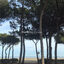A VENDRE- ARGELES PLAGE- F2