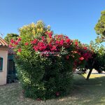 A VENDRE- ARGELES SUR MER – APPARTEMENT DEUX PIECES