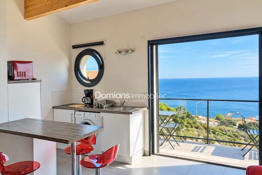A-VENDRE-CERBERE-VILLA