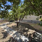 A VENDRE THUIR VILLA AVEC JARDIN