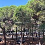 A VENDRE – ARGELES SUR MER – T1 Bis